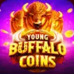 Young Buffalo